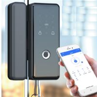 Khóa cửa kính ViroSmart lock 5 in1 VR-E11A