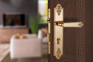 Khóa cửa nẹp Vickini 38405.101 RG
