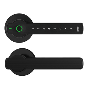 Khóa cửa phòng Giovani GSL-S3