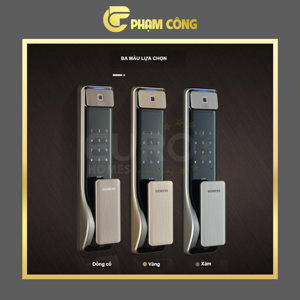 Khóa cửa Siemens C621