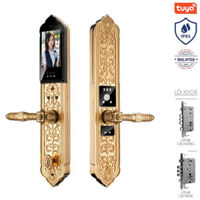 Khoá cửa thông minh Avolock AC-998F-G