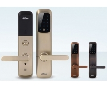 Khóa cửa thông minh Dahua DHI-ASL8101R - cho biệt thự