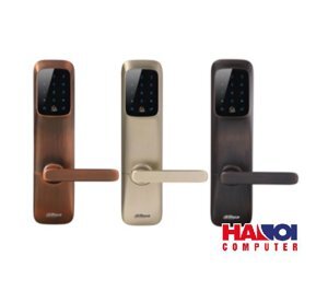 Khóa cửa thông minh Dahua DHI-ASL8101R - cho biệt thự