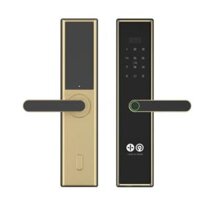 Khóa Cửa Thông Minh FILTA SMART LOCK P12