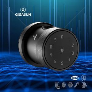 Khóa cửa thông minh Gigasun X7