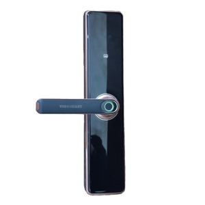 Khóa cửa vân tay 5in1 Viro-Smartlock VR-MR918-E3
