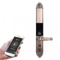 Khóa cửa vân tay cổ điển 5A DK8000