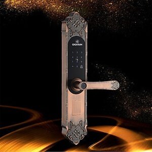 Khóa cửa vân tay cổ điển Gigasun X3R