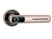 Khóa cửa vân tay Demax SL105