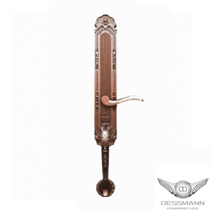 Khóa cửa vân tay Dessmann Classic K5