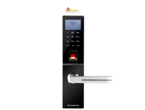Khóa cửa vân tây Dessmann G810FP