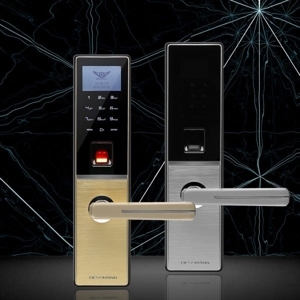 Khóa cửa vân tay Dessmann G810