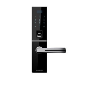 Khóa cửa vân tay Dessmann G811