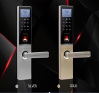 Khóa cửa vân tay Dessmann G810FP Gold