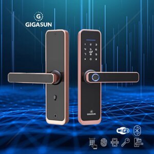 Khóa cửa vân tay Gigasun D04R
