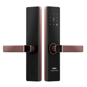 Khóa cửa vân tay IBC A2