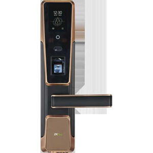 Khóa cửa vân tay nhận diện khuôn mặt ZKTeco ZM100