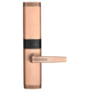 Khóa Cửa Vân Tay TL200