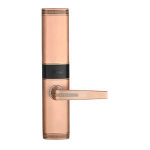 Khóa Cửa Vân Tay TL200