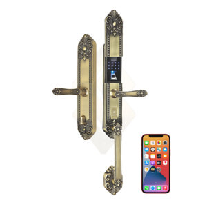 Khóa đại sảnh Kassler KL-979GR APP