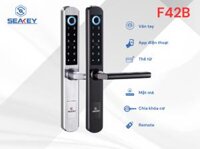 Khóa điện tử 6 cách mở khóa: App Bluetooth Sciener, vân tay, mật mã, thẻ mifare 1K, chìa khoá cơ và remote F42B màu bạc
