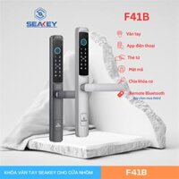 Khóa điện tử 6 cách mở khóa: App Bluetooth Sciener, vân tay, mật mã, thẻ mifare 1K, chìa khoá cơ và remote F41B màu đen – CÁI