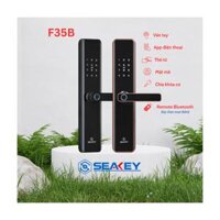 Khóa điện tử 6 cách mở khóa: App Bluetooth Sciener, vân tay, mật mã, thẻ mifare 1K, chìa khoá cơ và remote F31B màu đen – CÁI