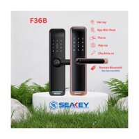 Khóa điện tử 6 cách mở khóa: App Bluetooth Sciener, vân tay, mật mã, thẻ mifare 1K, chìa khoá cơ và remote F36B – DEN – CÁI