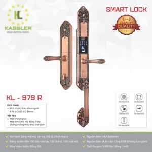 Khóa điện từ KASSLER KL- 979R