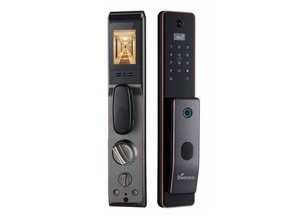 Khóa điện tử thông minh Demax SL866