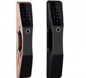 Khóa điện tử thông minh Demax SL668