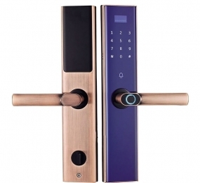 Khóa điện tử thông minh Demax SL650