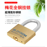 Khóa Đồng Ký Túc Xá Khóa Cửa Gia Đình Chống Trộm Khóa Cửa Sổ Chống Nước Chống Rỉ Sét Khóa Tủ Ô Tô Khóa Cửa 45MM (075)