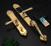 Khóa đồng vân tay tân cổ IKS L500-RG