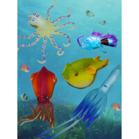 Khoa học và giáo dục trẻ em mô phỏng động vật biển mô hình sinh học cá bạch tuộc lớn bạch tuộc cá Ankang mềm cao su đồ chơi trẻ em