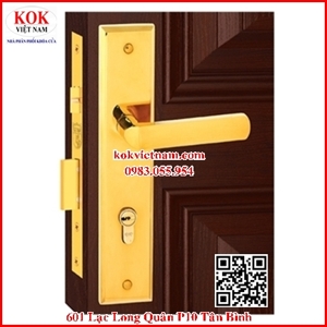 Khóa inox cửa đi Việt Tiệp 04175