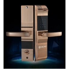 Khóa thông minh OSN-3361