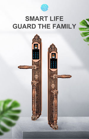 Khóa vân tay cổ điển Hilux A007