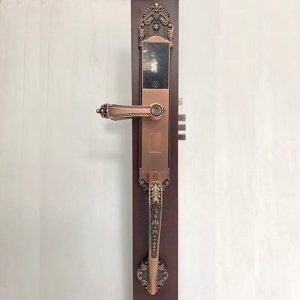 Khóa vân tay cổ điển IKS L005-RG