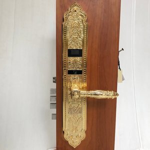 Khóa vân tay cổ điển IKS S1108
