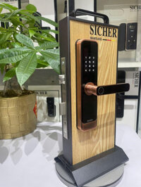 Khóa Vân Tay Cửa Gỗ Giá Rẻ Sicher A28