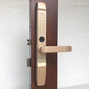 Khóa vân tay cửa nhôm kính IKS-JX01