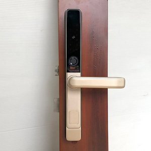 Khóa vân tay cửa nhôm kính IKS L101