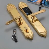 Khóa vân tay đồng cổ điển IKS S500-RG