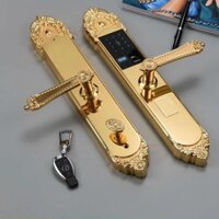 Khóa vân tay đồng cổ điển IKS S500-RG