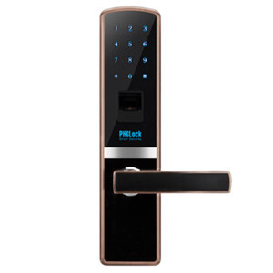 Khóa vân tay PHGLOCK  FP8110
