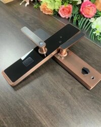 Khóa vân tay QM-LX800TT