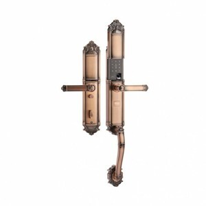 Khóa vân tay tân cổ Demax SL821AC