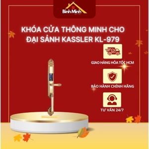 Khóa vân tay tân cổ Kassler KL-979