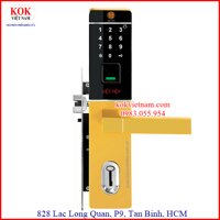 Khóa Vân Tay Việt Tiệp 28286